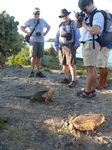 Galapagos (Mar 2009) - Day 04 - 115
